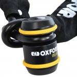 Oxford beast lock